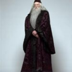 HP1 - Albus Dumbledore