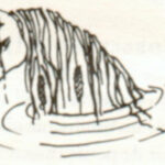 JK Rowling - Dessins Animaux Fantastiques